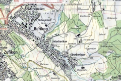 2013_Berikon_w
