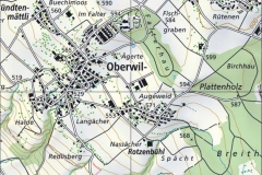 2013_Oberwil_w